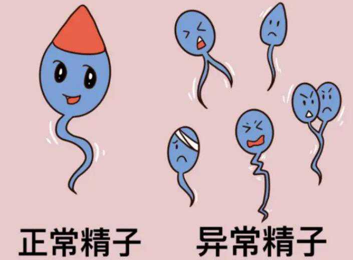 广州供精试管代孕中介|深圳供卵试管可以选性别吗（南京试管供卵机构）