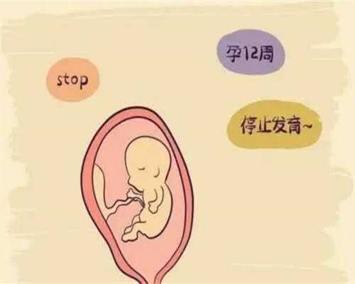 广州大的代孕公司-【包成功性别可选】_YingIVF推