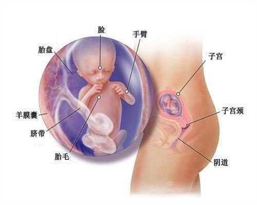 广州代孕价格大约多少,怀孕胆囊疼怎么办