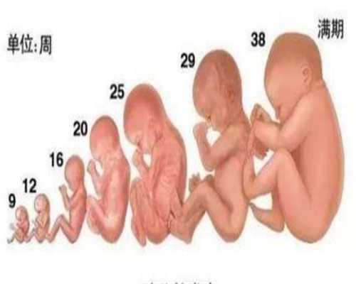 广州世纪助代怀孕双胞胎,宫腔粘连手术费用