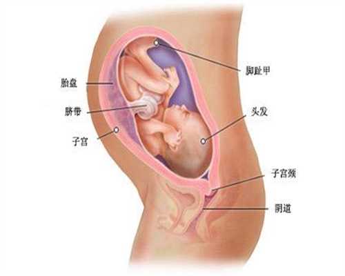 广州代孕生子大概多少钱,子宫厚度多少才正常