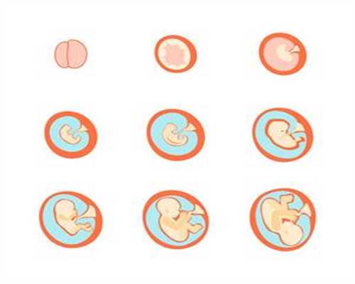 卵巢早衰供卵流程_卵巢早衰供卵群_双侧输卵早孕症状有哪些管梗阻是什么意思
