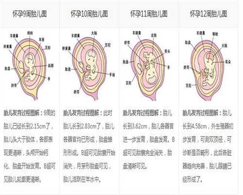 广州供卵取卵个数_广州集爱医院供卵_忻州试管婴儿-贝安：HPV疫苗4大问题，打