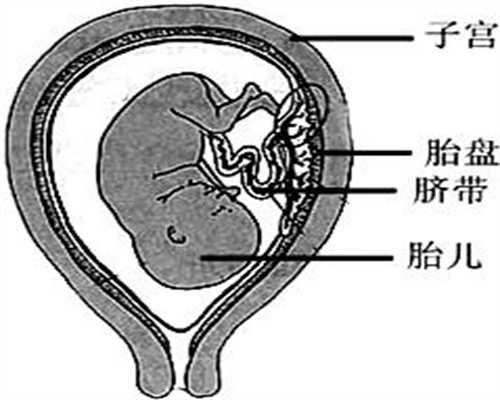 全国公立的供卵医院_广州供卵助孕流程_捐卵是每天都要打针吗台艺人怀孕录节