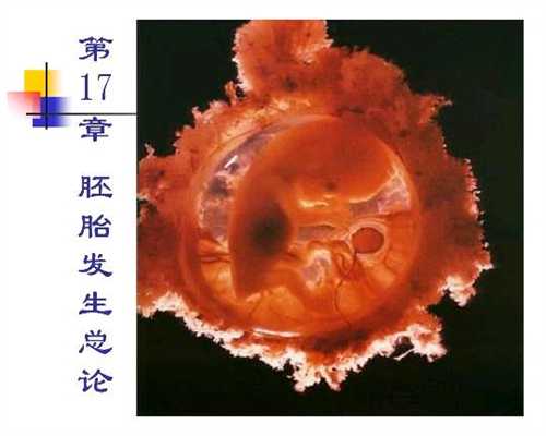 试管供卵需要多少钱_广州供卵母体_查输卵管要等月经结束吗