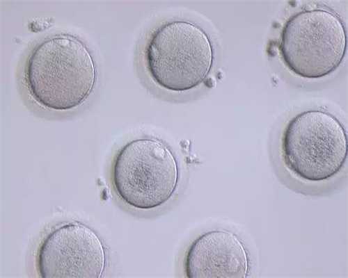 供卵生的孩子像自己吗_广州祈新生殖供卵试管_流产被称为初产妇吗？