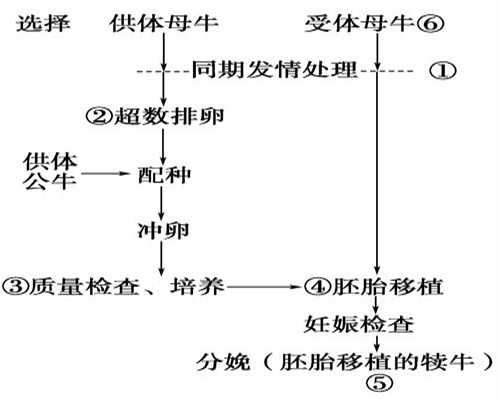 供卵生下孩子后悔了_广州哪个医院可以供卵_腮腺炎发病的症状有哪些