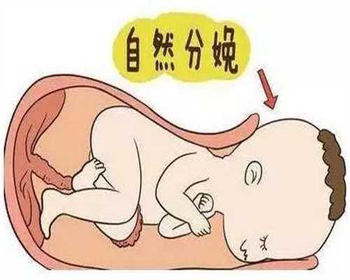 广州供卵助孕流程_全国公立的供卵医院_[高龄女性备孕小技巧]广州生殖保健院