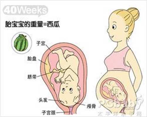 供卵怀孕成功率高吗_广州合法供卵试管中心_她为事业打掉孩子，45岁备孕被告