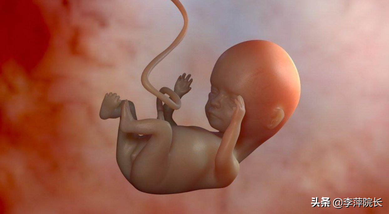 格鲁吉亚试管性别会&供卵机构 实地考察&还能等等吗？6周半胎儿没胎心，当地